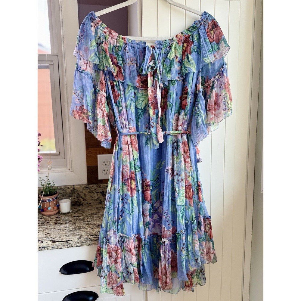 Zimmermann Winsome Sky Sunbleach Floral 100% Silk Ruffle Mini Dress Size 2 M 6/8 - Picture 2 of 16
